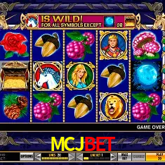 MCJBET Brasília - VIP Program
